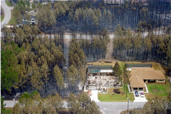 Forest fire damage in a Florida neighborhood - Bunnell, Florida