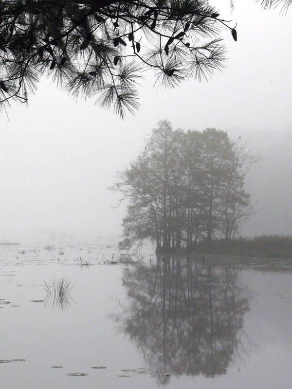 Lake Seminole.