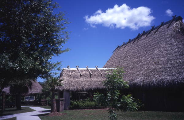 View showing thatched building at the Big Cypress Seminole Indian Reservation.