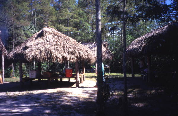 View of Seminole Indian chickee huts at the Big Cypress Seminole Indian Reservation.
