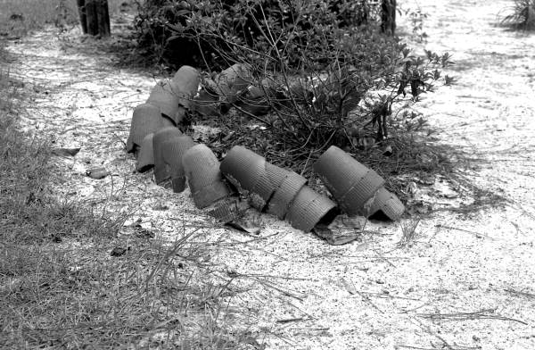 Flower pots lined up to make a border around a plant.