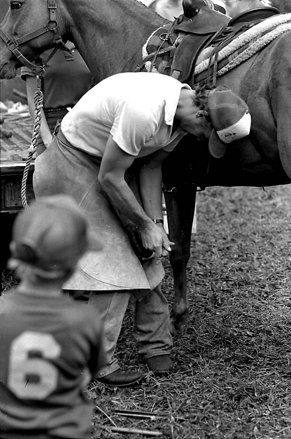 Glen Nettles shoeing a horse in the Ranching Folklife Area- White Springs, Florida