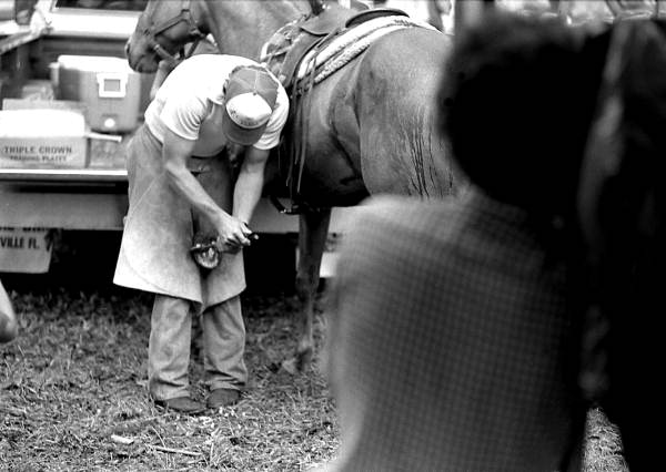 Glen Nettles shoeing a horse in the Ranching Folklife Area- White Springs, Florida