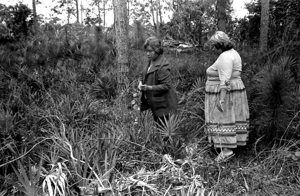 Margaret Cypress and Ethel Santiago gathering sweetgrass for baskets- Immokalee, Florida