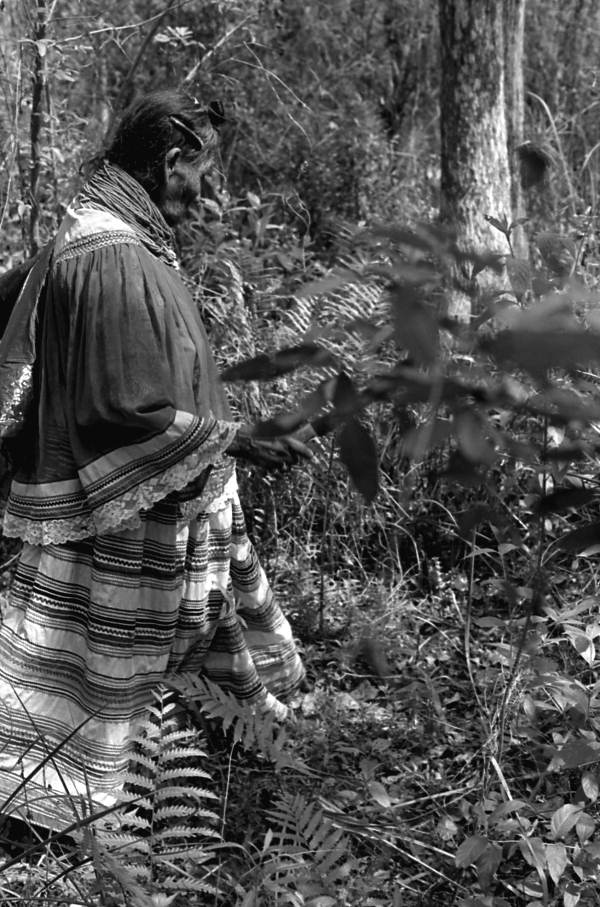 Susie Jim Billie searching for medicinal plants and herbs- Big Cypress Seminole Indian Reservation, Florida
