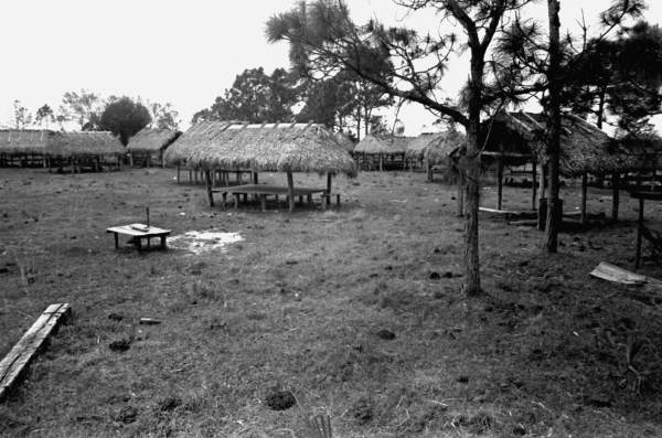 Site of a green corn dance at Scott Ranch- Okeechobee, Florida
