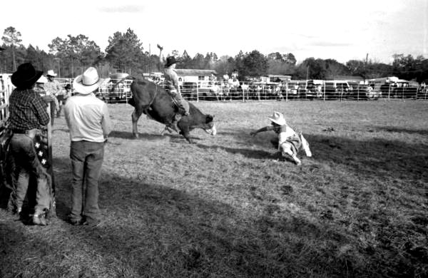 Bull riding at the Macclenny Rodeo- Macclenny, Florida