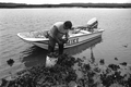 Mike Hilchey collecting oysters on Simpson's Creek.- Jacksonville, Florida.