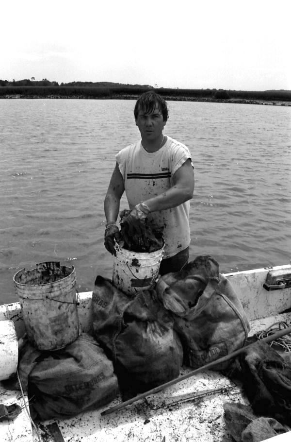 Mike Hilchey with sack and bucket of oysters collected from Simpson's Creek.- Jacksonville, Florida.