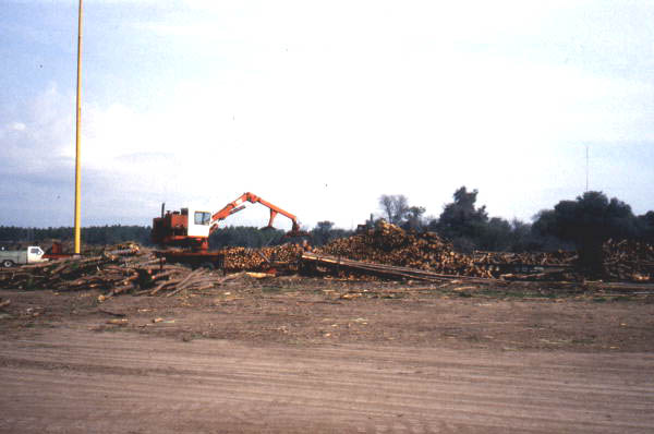 Loader in a timber yard.