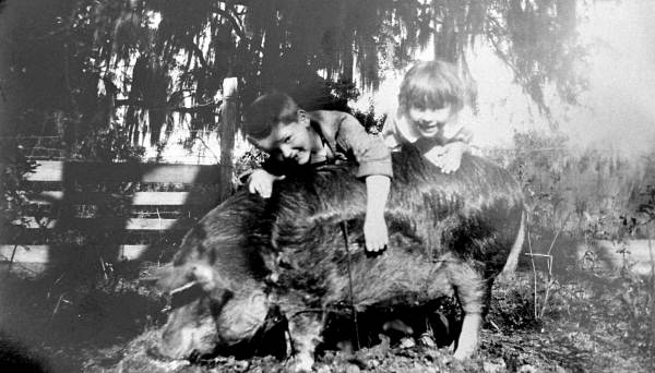 Lola and J.D. Newman with the family pig - East Palatka, Florida.