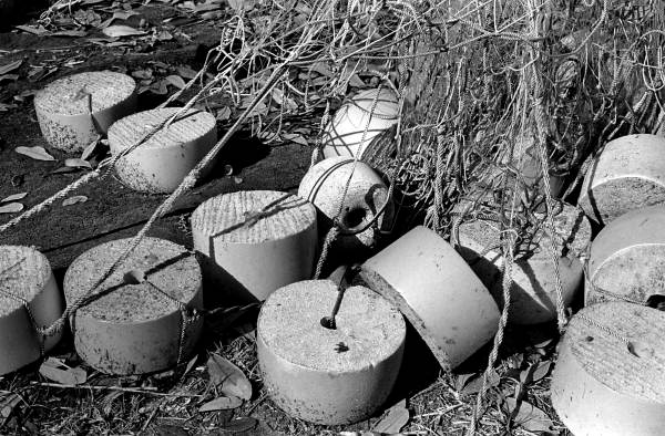 View of floats used on shad fishing nets - East Palatka, Florida.