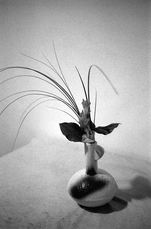 Ike bana floral arrangement made by Atsuko Lefourte- Lake Park, Florida