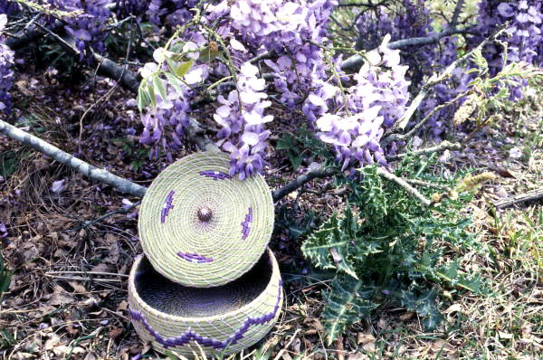Creek pine needle basket- Blountstown, Florida