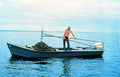 Cletis Anderson tonging for oysters