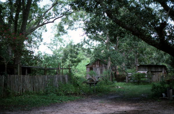 Outbuildings on Ada Mickler's property- Saint Augustine, Florida