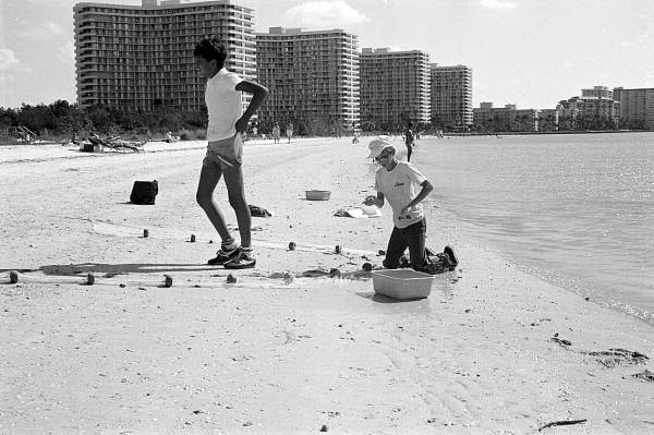 Two boys inspecting their catch from a cast net