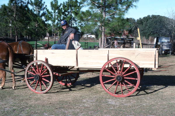 Raymond Richardson, apprentice of wheelwright and coach maker John Luther and his team of mules- McAlpin, Florida