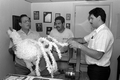 Isaac Duenas and apprentices putting finishing touches on a rooster to be used in festival - North Miami Beach, Florida.