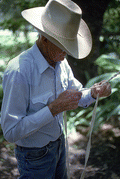 Cow whip maker George "Junior" Mills plaiting a whip - Okeechobee, Florida.