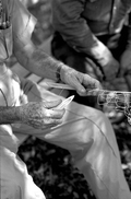 Max Dooley weaving a cast net - Lakeland, Florida.