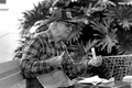 Max Dooley making a cast net - Lakeland, Florida.