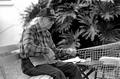 Max Dooley making a cast net - Lakeland, Florida.