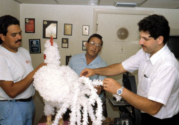 Isaac Duenas and apprentices putting finishing touches on a rooster to be used in festival - North Miami Beach, Florida.