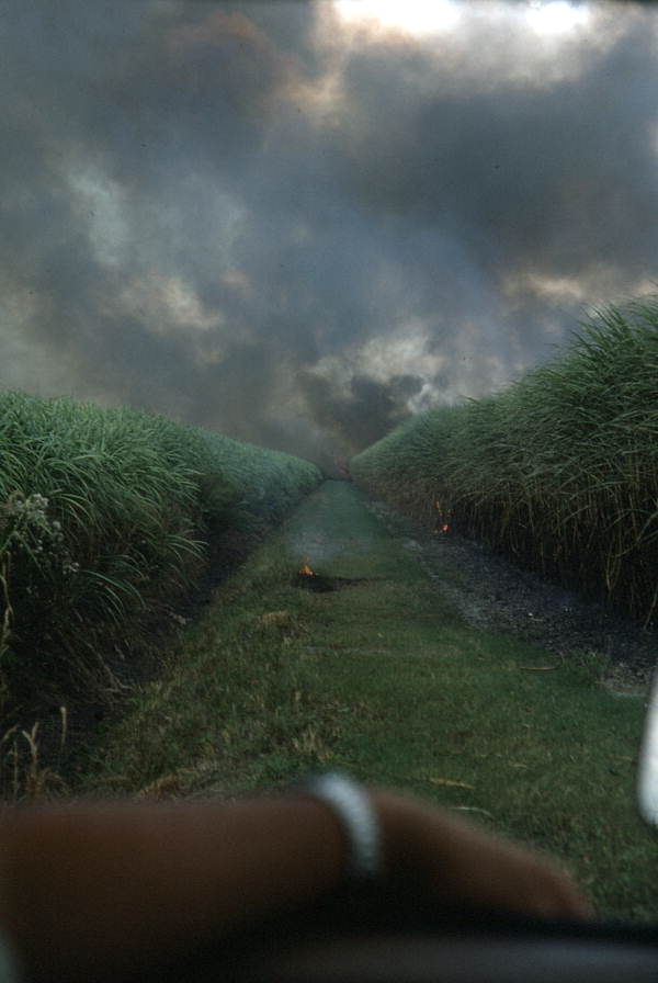 Smoke rising from a burning sugar cane field - Pahokee, Florida