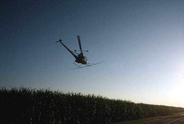 Helicopter spraying sugar cane field - Moore Haven, Florida
