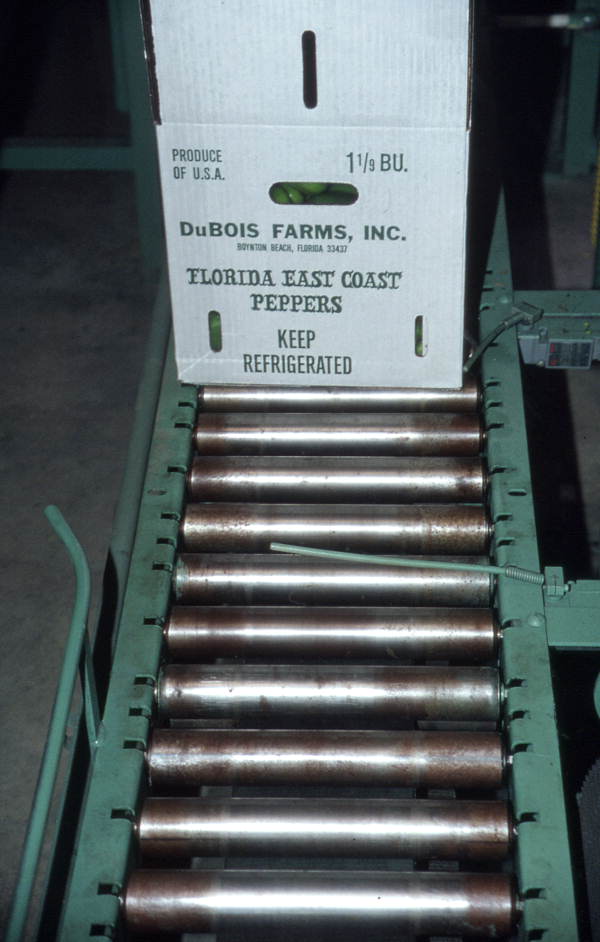 Box of peppers on conveyor - Boynton Beach, Florida.