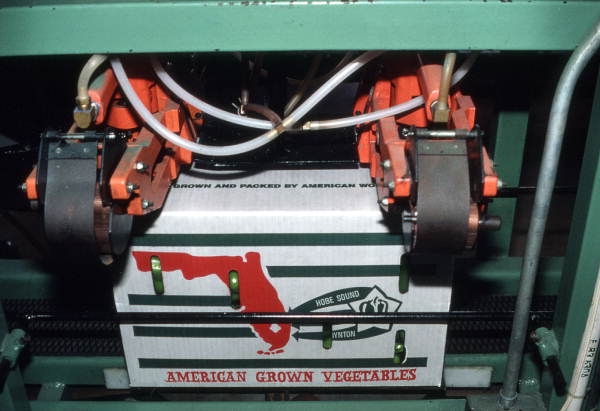 Box of peppers being stapled closed - Boynton Beach, Florida.