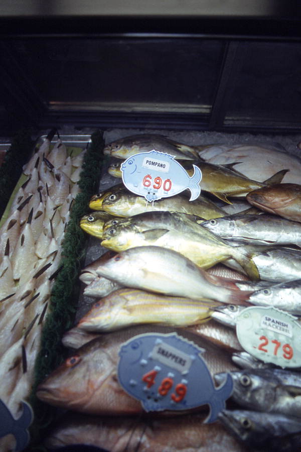 Fish for sale at Pinder's Fish Market - Riviera Beach, Florida.