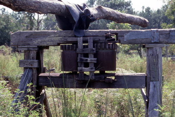 Cane mill on Willie Lumpkin's farm - Florida