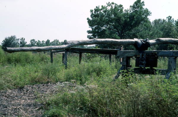 Cane mill on Willie Lumpkin's farm - Florida