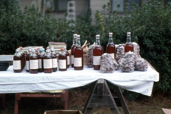 Sugarcane syrup made by Wilmer Cribbs - Wellborn, Florida