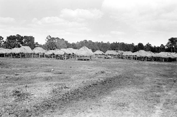 Chickees at site of Green Corn Dance on Scott Ranch - Okeechobee, Florida