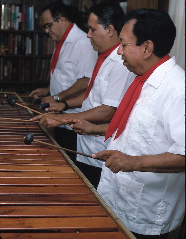 Marimba Mayalandia performing - Orlando, Florida.