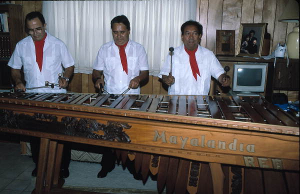 Marimba Mayalandia plays a large marimba - Orlando, Florida.