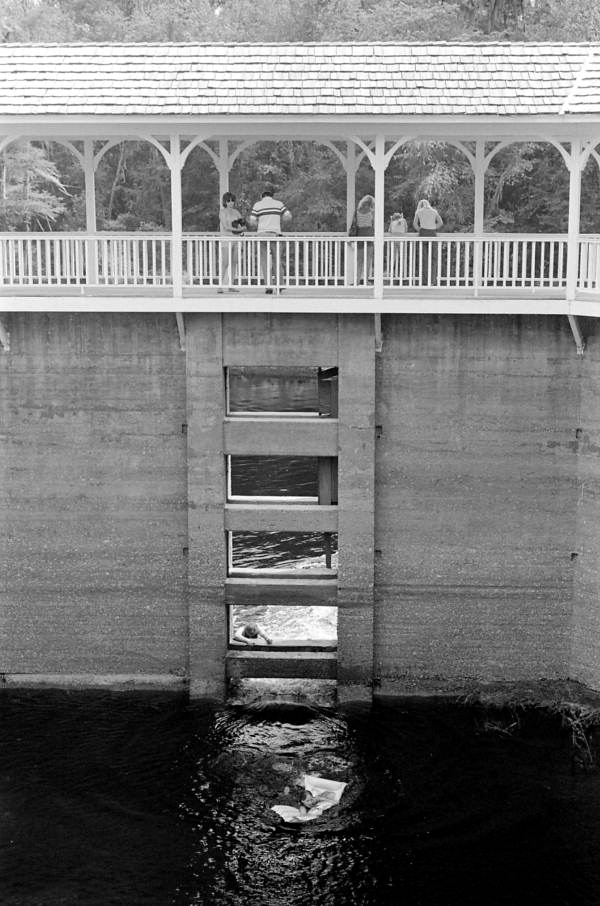 View of the Spring House during the 1983 Florida Folk Festival - White Springs, Florida