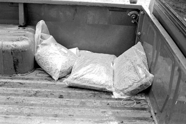 Bags of rubber bands in the back of a truck at the Hagstrom family fernery - Pierson, Florida