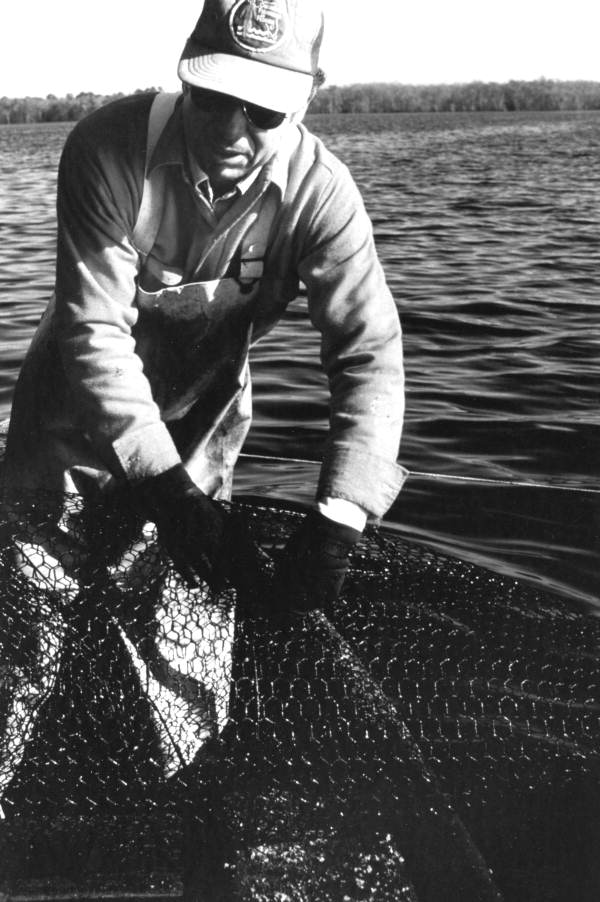 Tommy Noles working catfish traps on St. Johns River near Crescent City, FL..