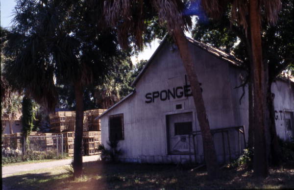 Sponge warehouse on Roosevelt Street - Tarpon Springs, Florida.