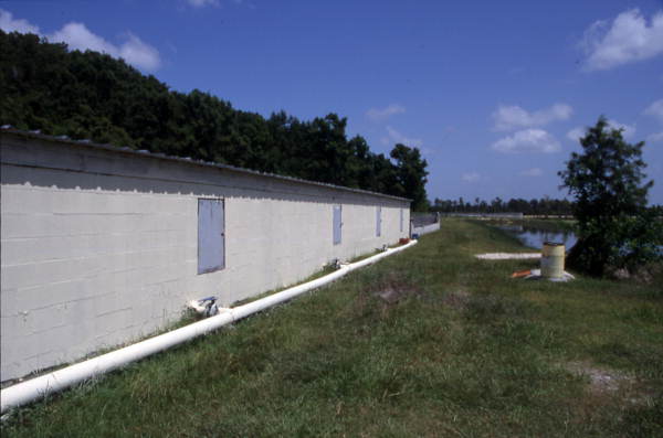 Alligator tank house at Kelvin Townsend's farm - LaBelle, Florida.