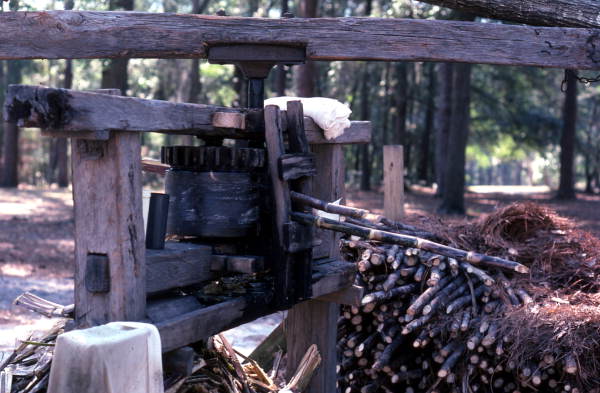 Cane grinding machinery - White Springs, Florida