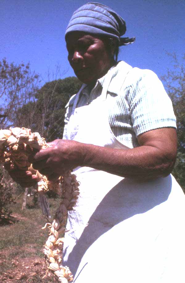 Lucreaty Clark holding a cornshuck rug she made- Lamont, Florida.