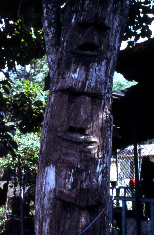 Tree sculpture made by Jesse Aaron - Gainesville, Florida.