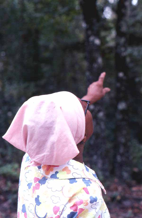Lucreaty Clark pointing towards white oak trees she will use to make baskets