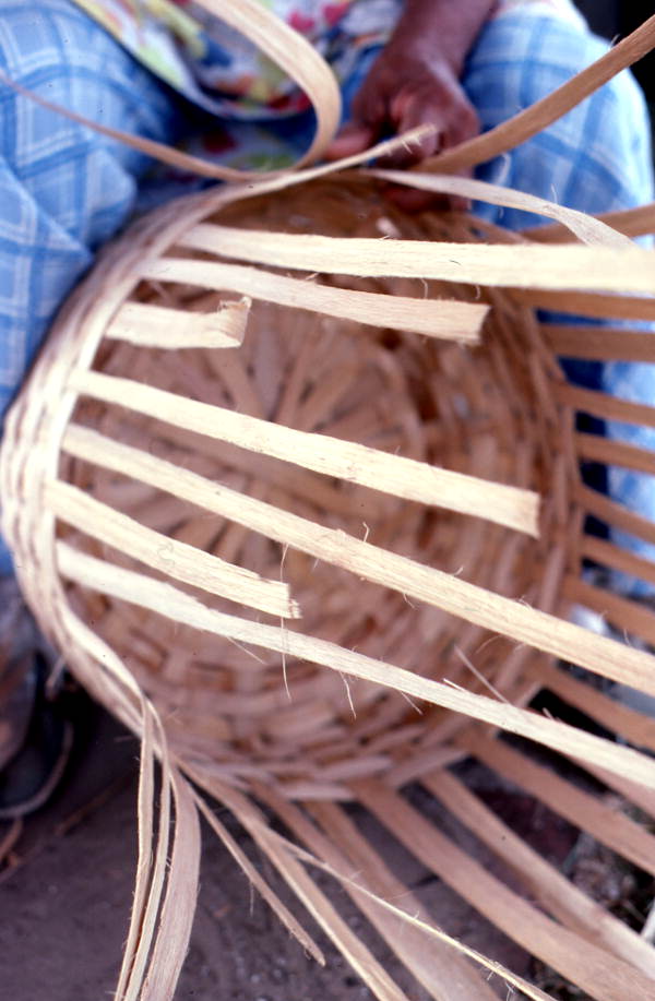 Lucreaty Clark weaving a white oak basket