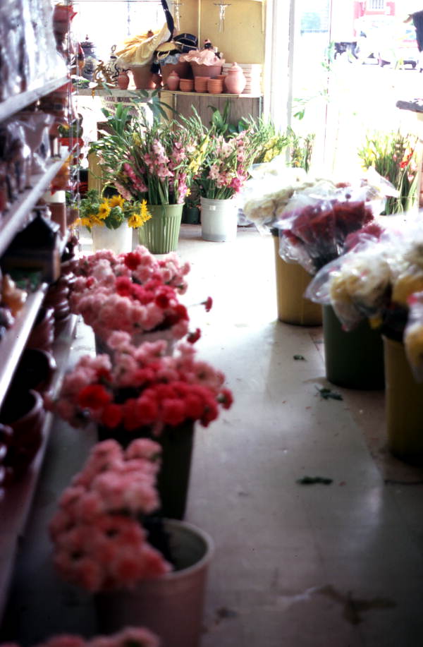Interior view of a florist shop in Little Havana - Miami, Florida.